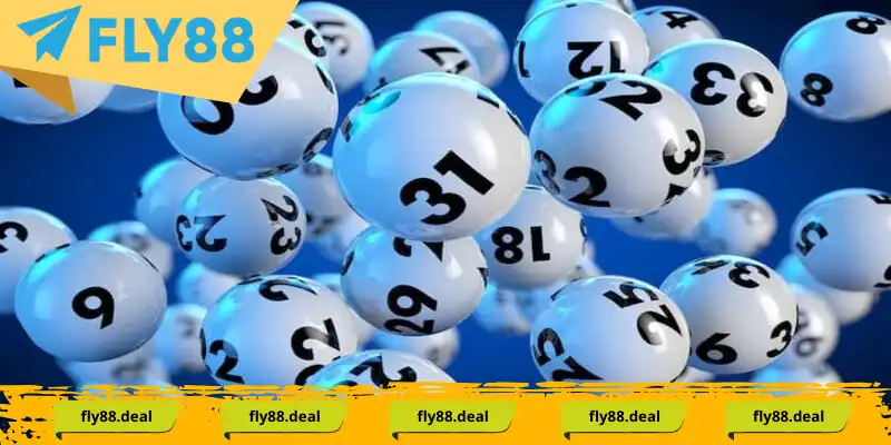 dan de 3 cang la gi 1