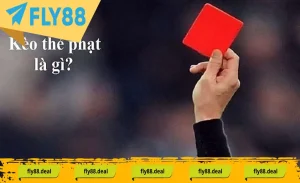 tim hieu ve keo the phat